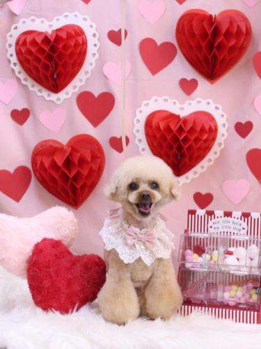 20240217マロンちゃん